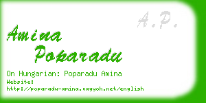 amina poparadu business card